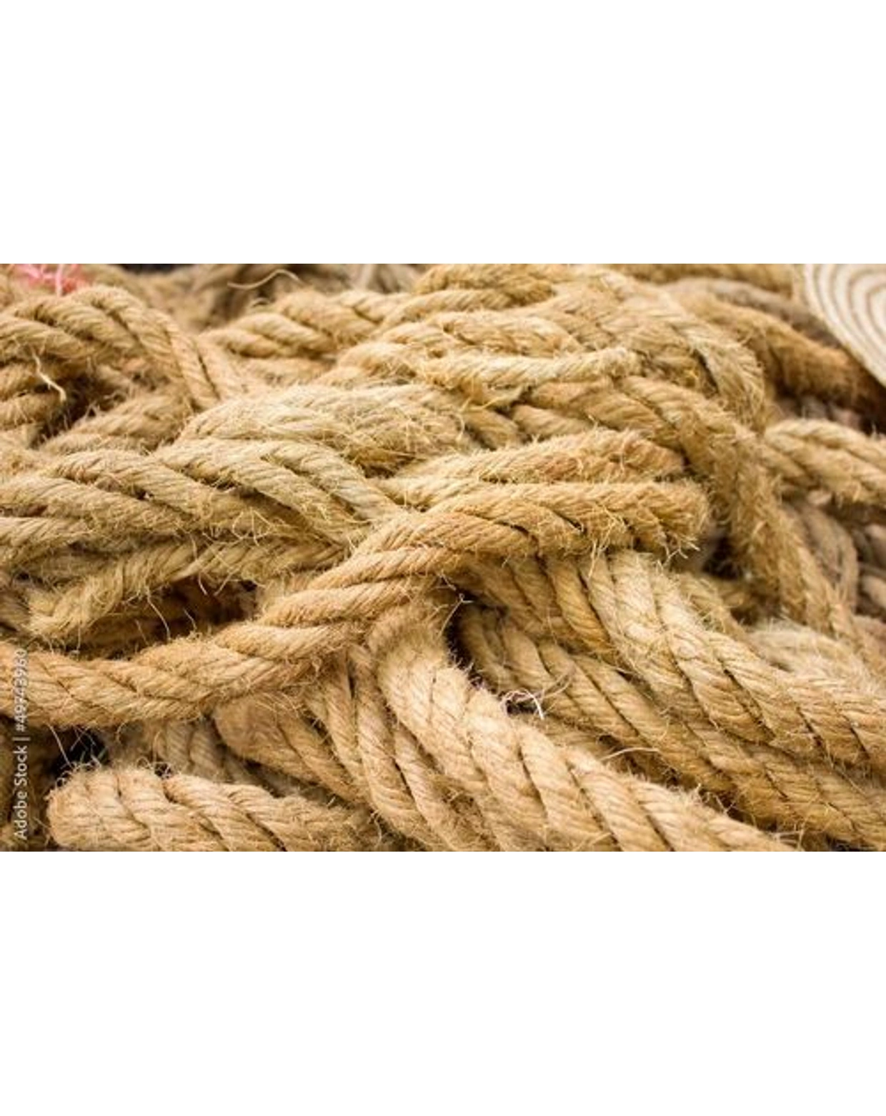 Coir Ropes And Brushes - | KalaSanskruti Coir Products Private Limited