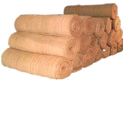 Kala Sanskruti Coir Prodcuts Private Limited Coir Geotextile Woven 900 Gsm For Sqmt