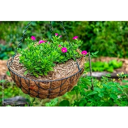 Kala Sanskruti Coir Prodcuts Private Limited Conical Basket 5 Inches - Three In one