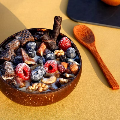kala sanskruti coir products pvt.ltd. 500 ml coconut bowl set (1 bowl + 1 spoon)
