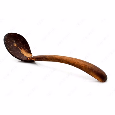 kala sanskruti coir products pvt.ltd. coconut serving spoon (1 spoon)