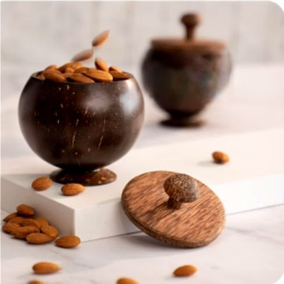kala sanskruti coir products pvt.ltd. coconut shell container