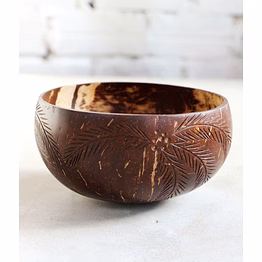 kala sanskruti coir products pvt.ltd. coconut palm leaf bowl with cutlery