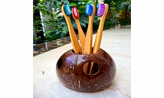 COCONUT SHELL TOOTH BRUSH STAND