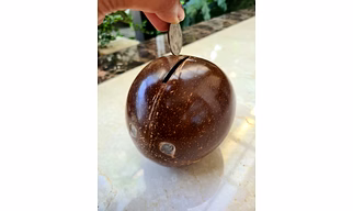 COCONUT SHELL PIGGY BANK (OPENABLE BOTTOM)