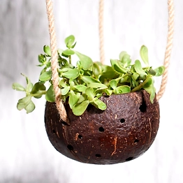 Kala Sanskruti Coir Products Pvt.Ltd. COCONUT INDOOR PLANTER