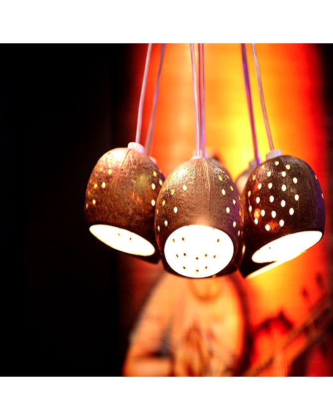 COCONUT NIGHT LAMP WITH BULB-1