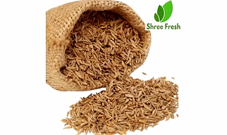 Cumin Seeds