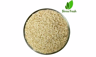 Sesame Seed