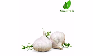 Fresh Garlic