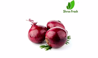 Fresh Onion
