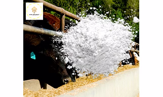CALCIUM CARBONATE POWDER FEED GRADE