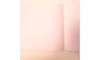 Nivedita Drawing Book