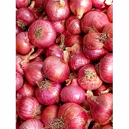 onion