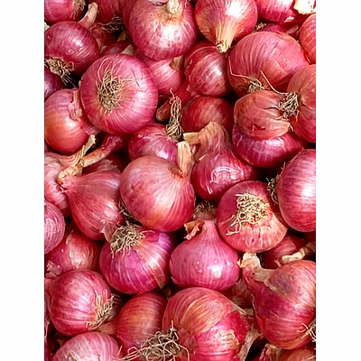 onion