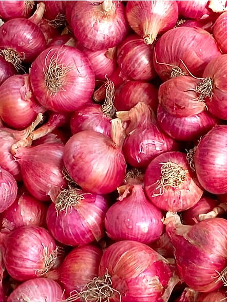 Onion-12728241