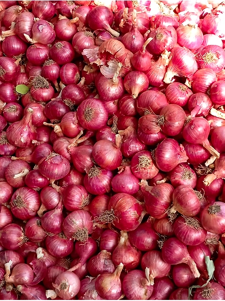 Onion-1