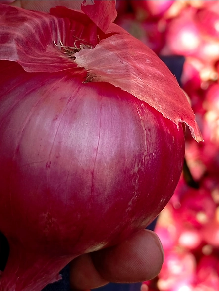 Onion-2