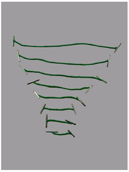Treasury Tag-5
