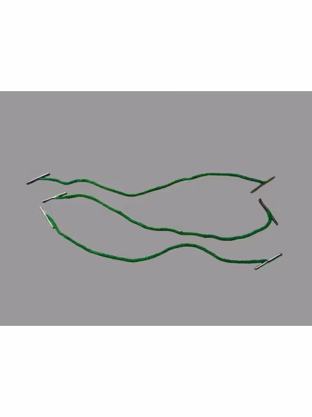 Treasury Tag-3