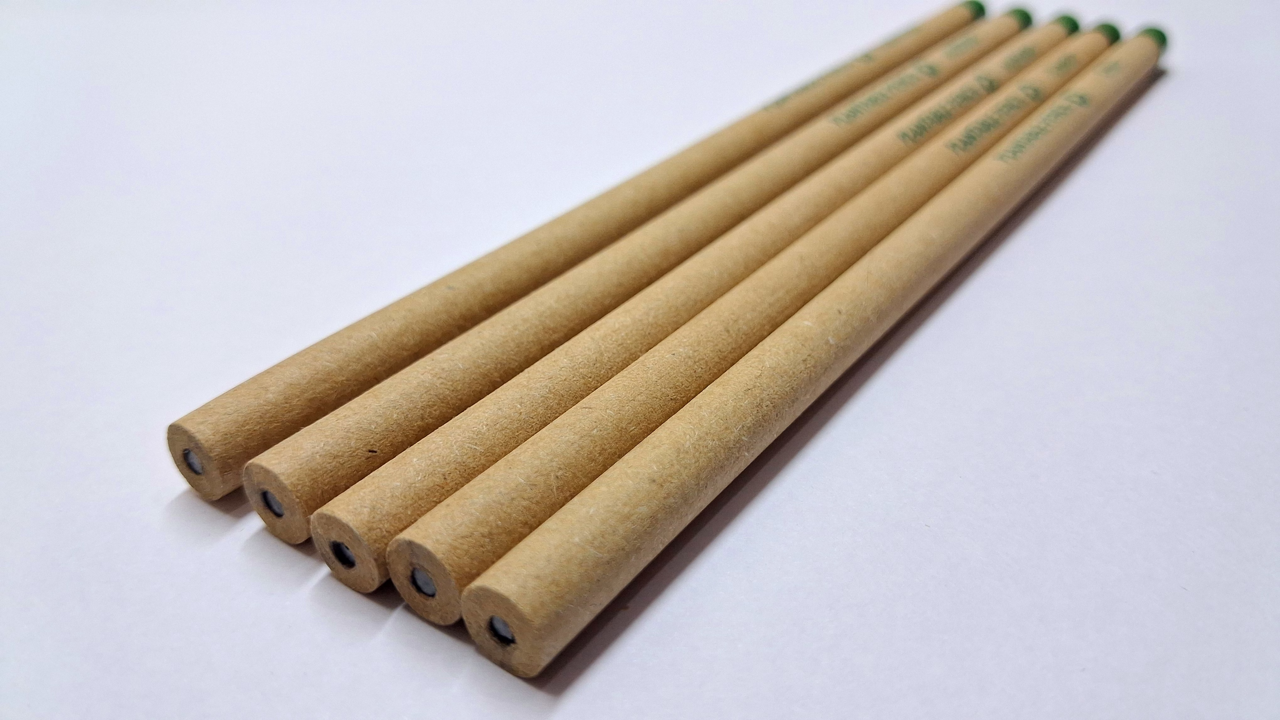 Plantable Pencil image 2