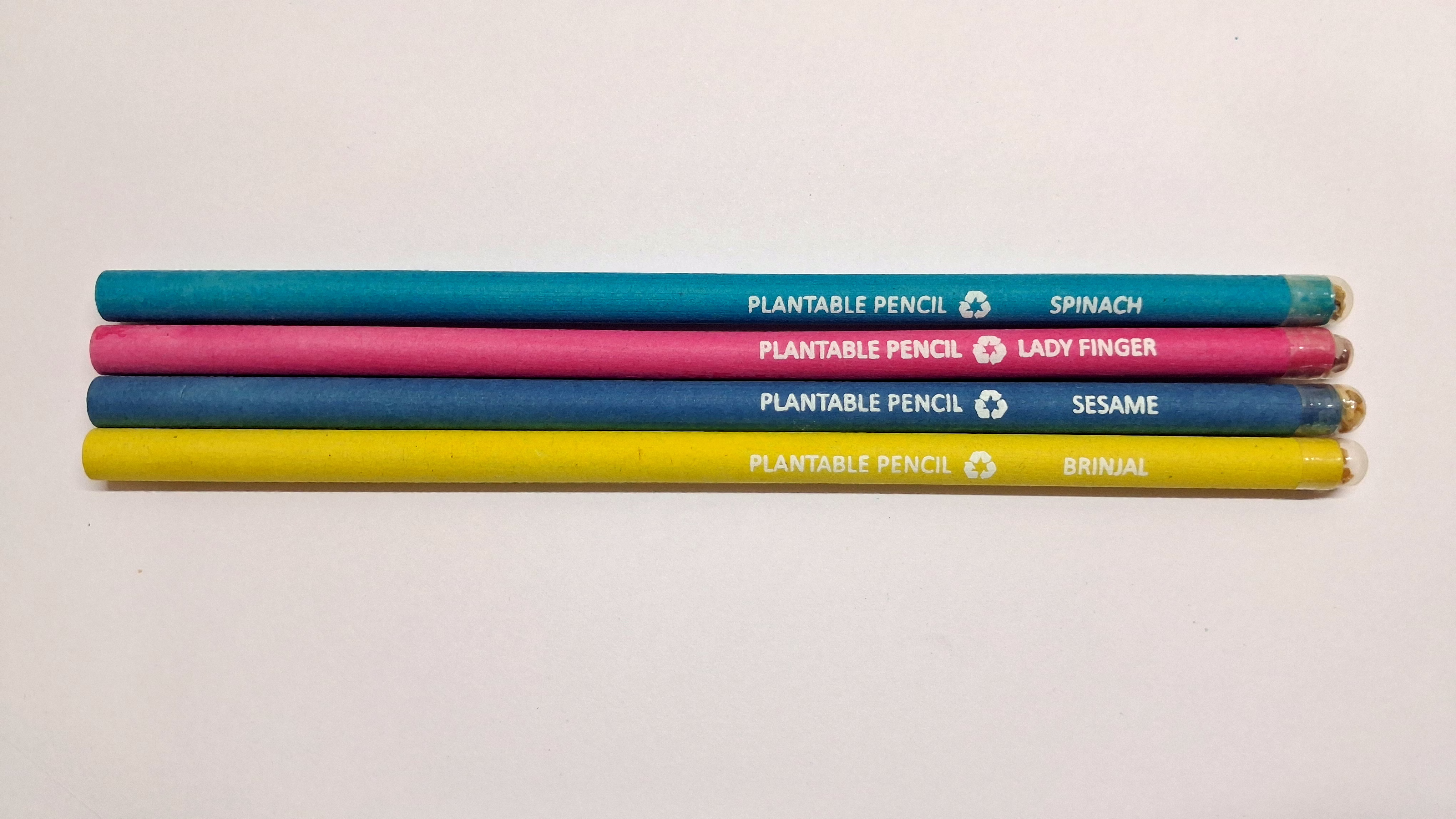Plantable Pencil image 3