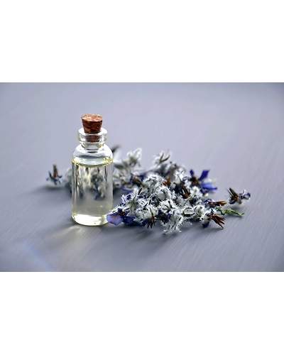Perfume,Scent-1