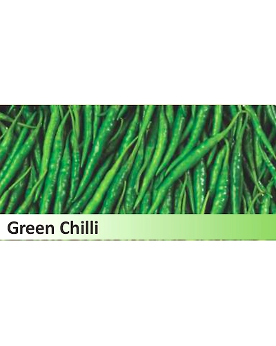 Green Chilli-11952352