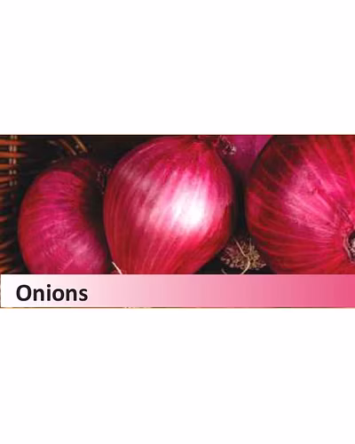 Onions-11952354