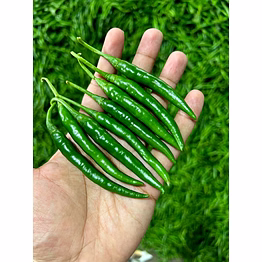 g4 green chilli