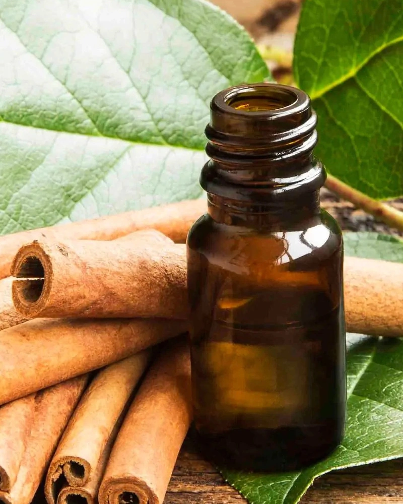 Cinnamon Oil-11933262