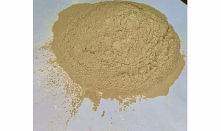 BizWhite Bleaching Earth