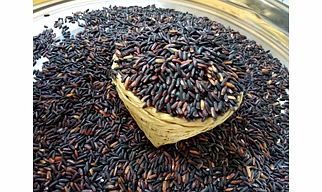Chack - HAO Black Rice