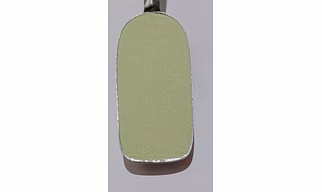Spray Dried Capsicum Powder