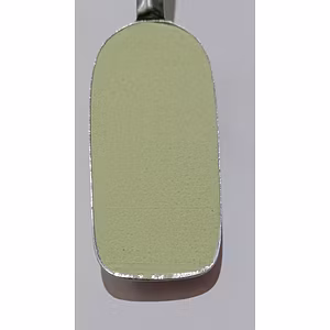 Spray Dried Capsicum Powder