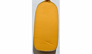 Spray Dried Carrot Powder