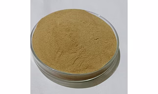 Spray Dried Chikoo Powder