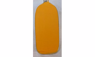 Spray Dried Papaya Powder