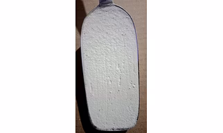 Spray Dried Sugarcane Powder