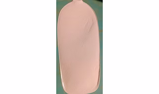 Spray Dried Watermelon Powder