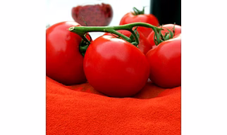 Spray Dried Tomato Powder