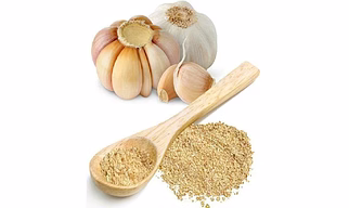 Spray Dried Garlic Powder
