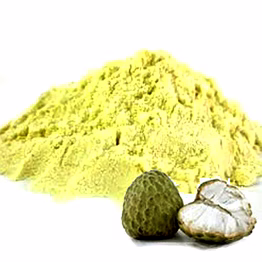 spray dried custard apple powder