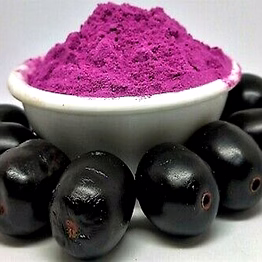 spray dried jamun powder
