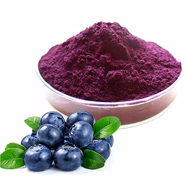 spray dried blueberry powder