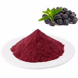 spray dried blackberry powder