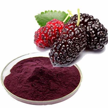 spray dried mulberry powder