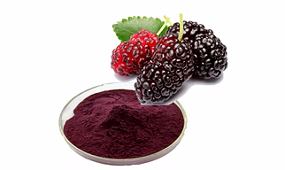 Spray Dried Mulberry Powder