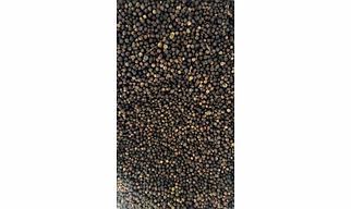 Black Pepper