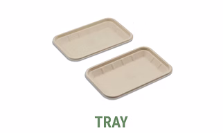 Tray Baggase